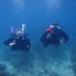 April 1-2, 2017 Key Largo Dive Weekend!