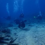 Feb 18-19, 2017 Key Largo Open Water Dive Weekend!