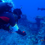 July 23, 2017 PADI Wreck Diver Class!