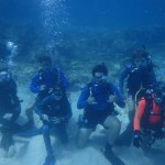 August 15-16, 2020 PADI Open Water Scuba Class!