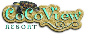 CoCo View Logo