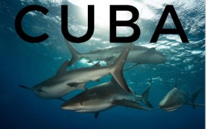 Cuba Sharks