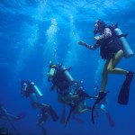 July 25-26, 2020 PADI Open Water Dive Weekend