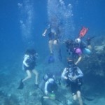 June 22-24, 2018 Key Largo PADI Open Water Dive Weekend!