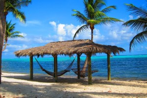 Little Cayman Hammocks