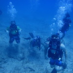 April 6-7, 2019 Key Largo Dive Weekend!