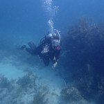 April 14-15, 2023 Key Largo Dive Weekend!