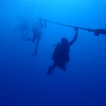 June 1-2, 2019 PADI Advanced Open Water Dive Weekend!