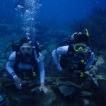 June 20-21, 2020 PADI Junior Adventure / Rescue Camp!