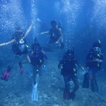 August 2-3, 2019 PADI Junior Adventure / Rescue Camp Keys Weekend!