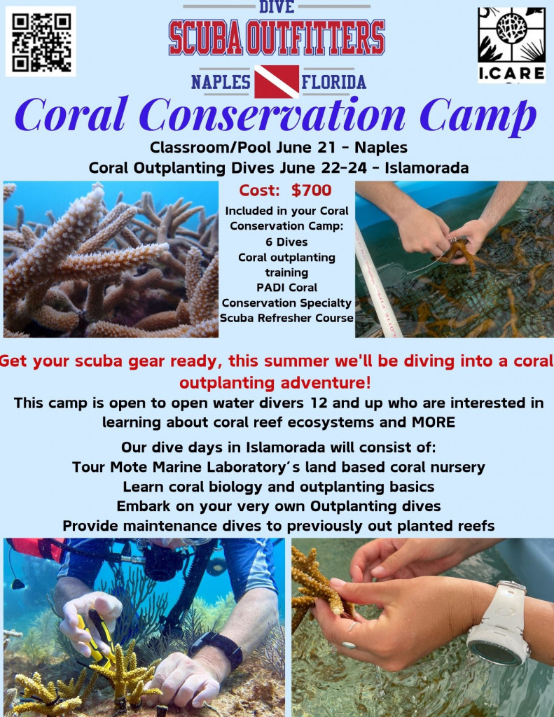 WANT TO HELP CORAL REEFS IN THE FLORIDA KEYS